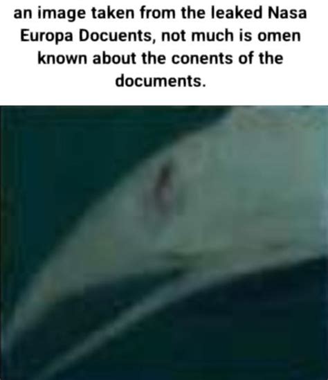 european hookmouth|Life On Europa Leaked Documents / Europan Hookmouth Hoax